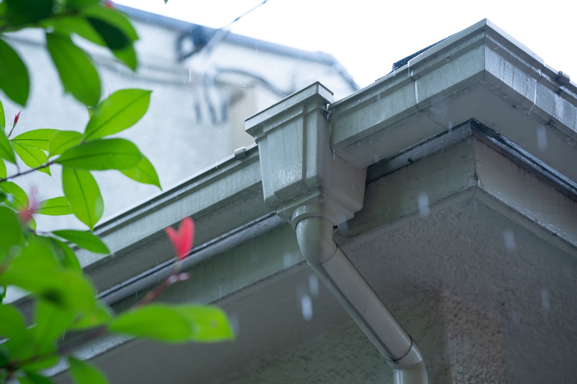 定期点検で住まいを長持ち！～雨樋編～